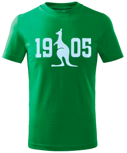 5813-tricko damske glitter zelene